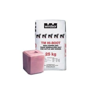Hi Boot Salt